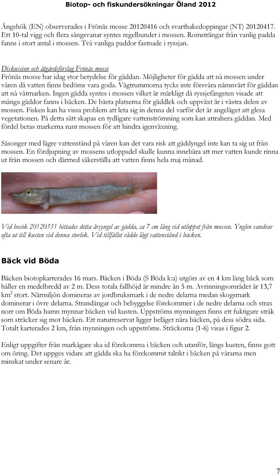 Möjligheter för gädda att nå mossen under våren då vatten finns bedöms vara goda. Vägtrummorna tycks inte försvåra nämnvärt för gäddan att nå våtmarken.