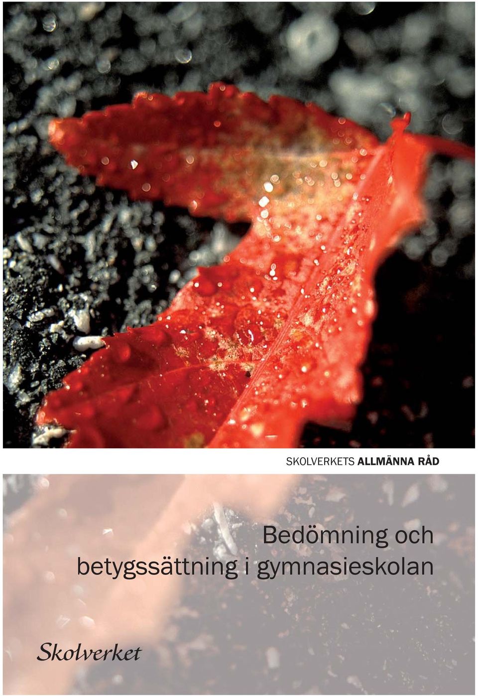 Bedömning och