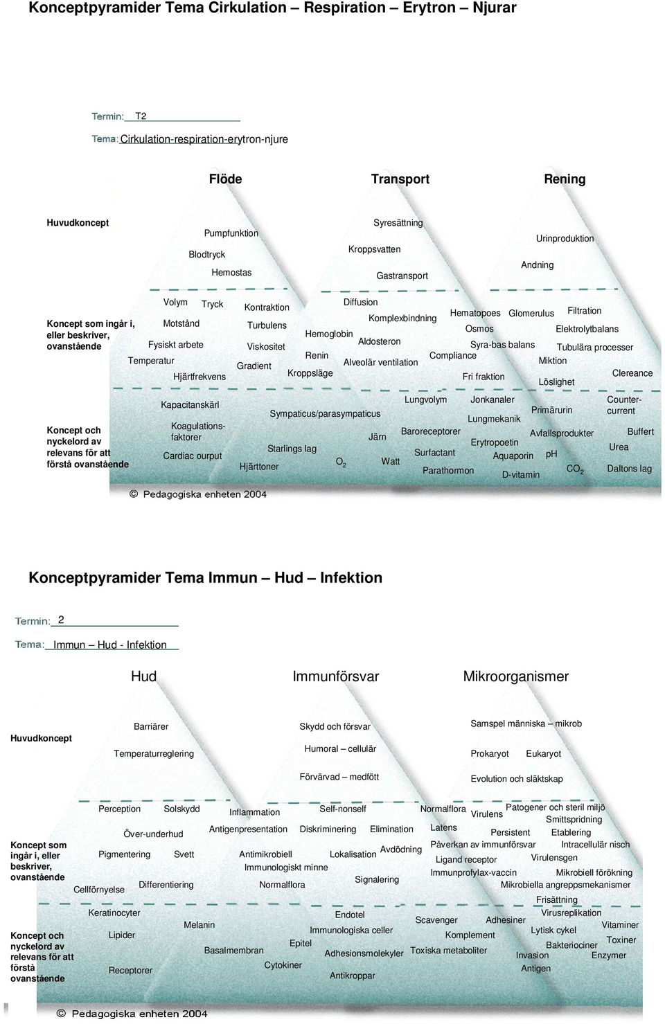 Filtration Komplexbindning Turbulens Osmos Elektrolytbalans Hemoglobin Aldosteron Viskositet Syra-bas balans Tubulära processer Renin Compliance Gradient Alveolär ventilation Miktion Kroppsläge Fri