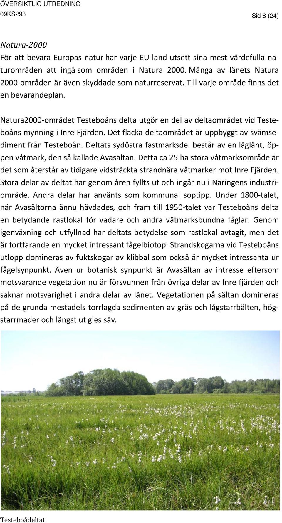 Natura2000 området Testeboåns delta utgör en del av deltaområdet vid Testeboåns mynning i Inre Fjärden. Det flacka deltaområdet är uppbyggt av svämsediment från Testeboån.
