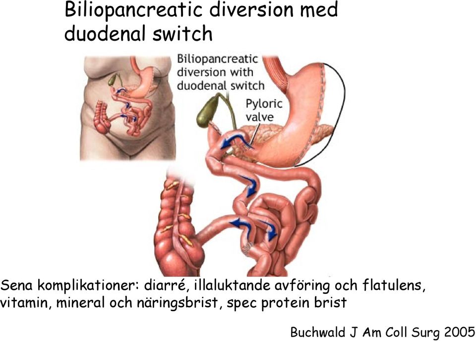 avföring och flatulens, vitamin, mineral och