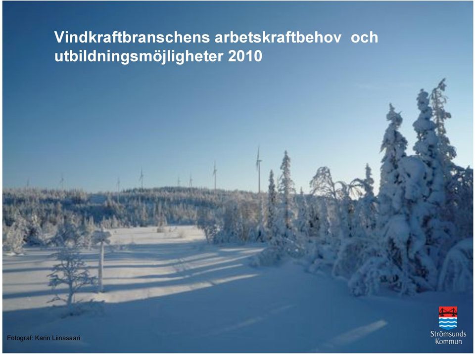 arbetskraftbehov?