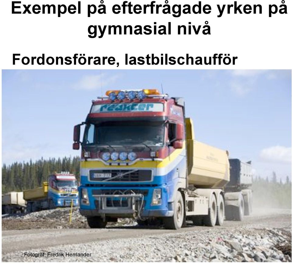 Fordonsförare,