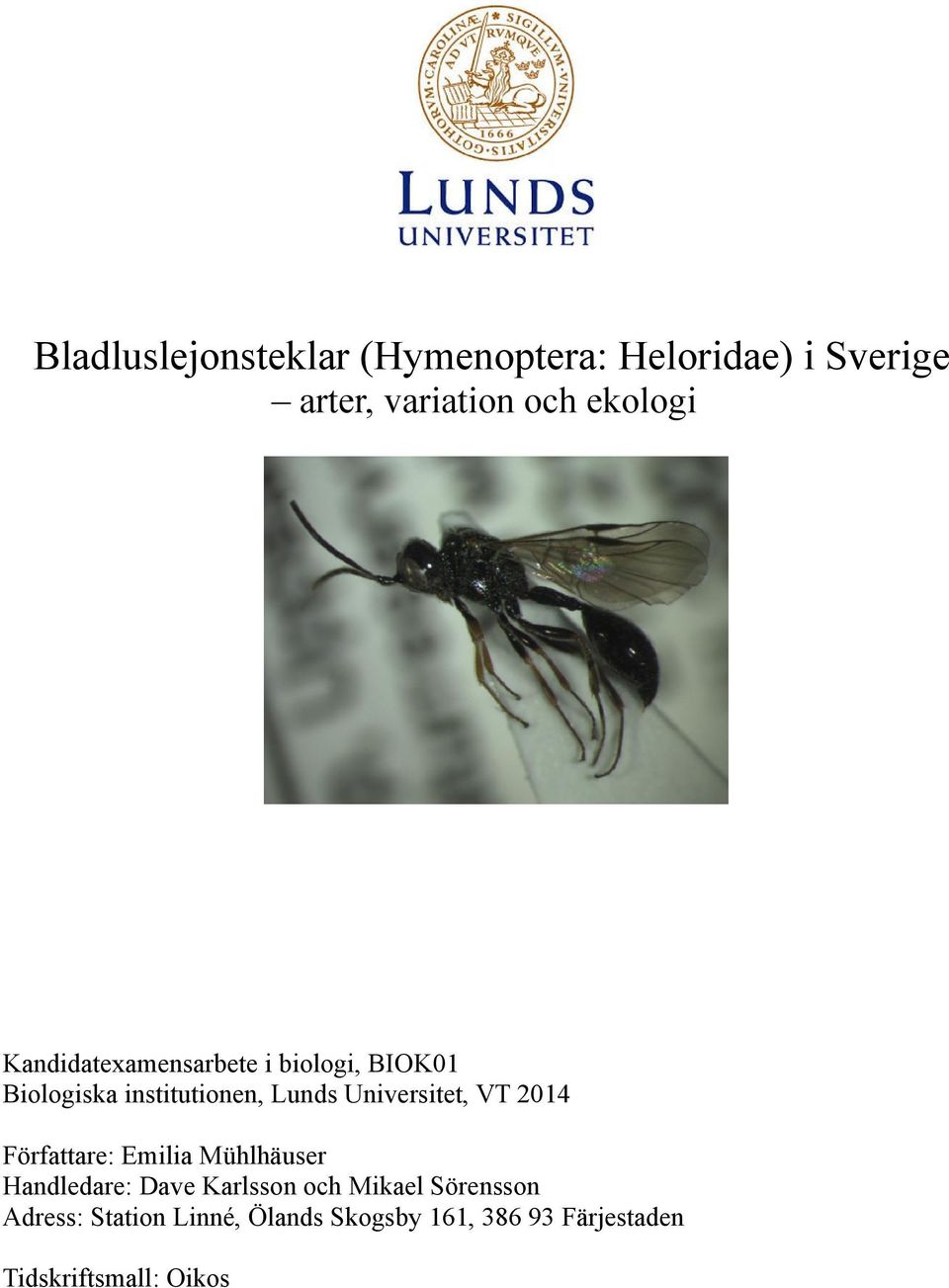 Universitet, VT 4 Författare: Emilia Mühlhäuser Handledare: Dave Karlsson och