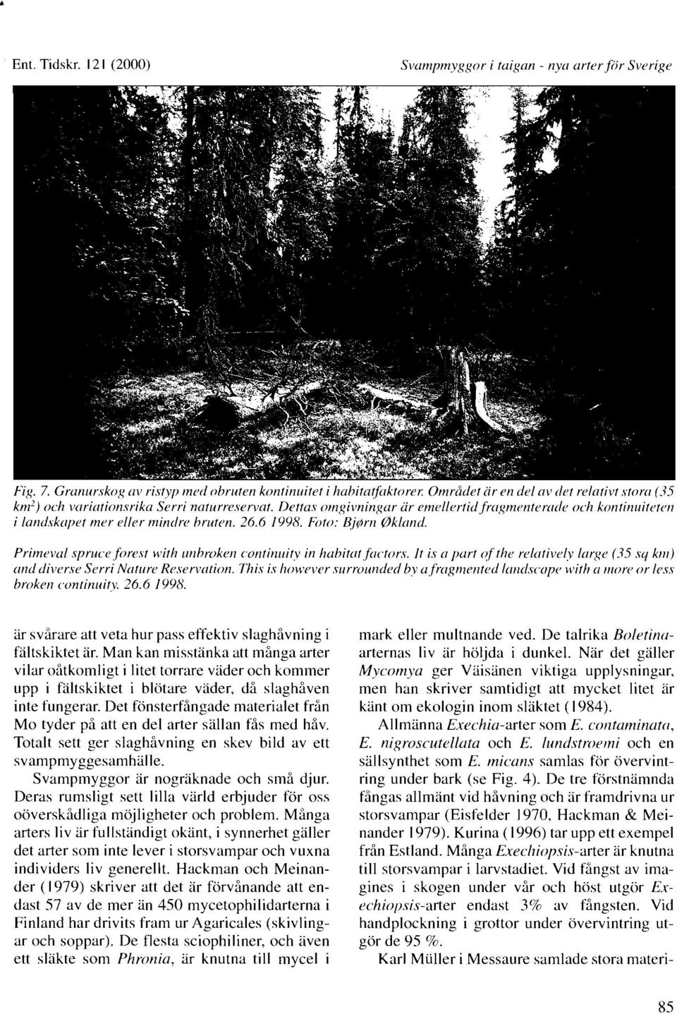 Primeval spruce,forest with ~rtibroken c.ontirulity in habittrt,firctors. It is n ])art of' the, relcrtii~r~ lrrrge (35 sy klii) trnd diverse Serri Nrrt~rre Re.seri,rrtion. This is however.