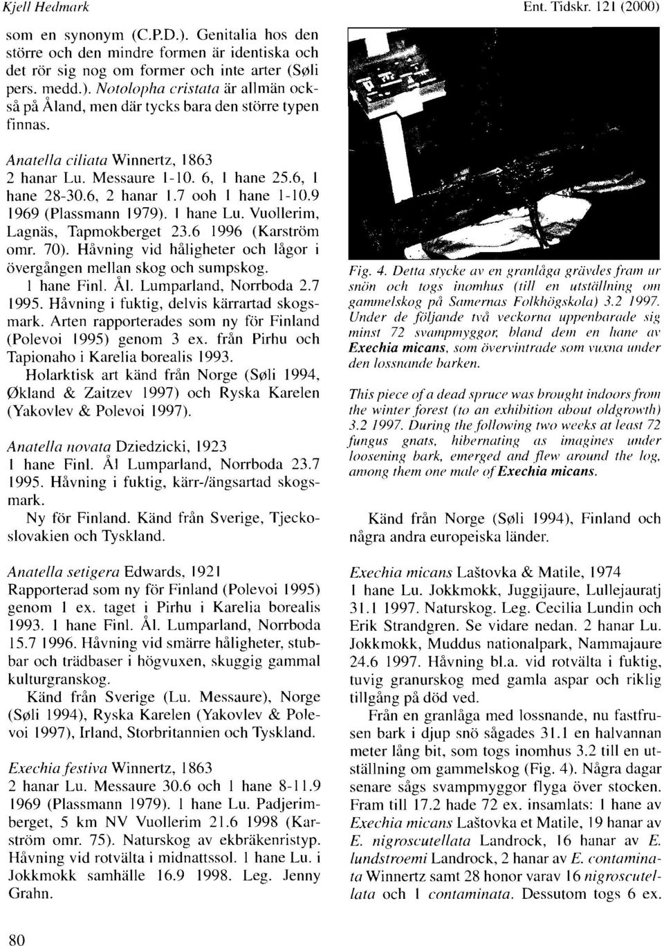 6 1996 (Karström omr. 70). Håvning vid hiligheter och lågor i övergången mellan skog och sumpskog. 1 hane Finl. Ål. Lumparland, Norrboda 2.7 1995. Håvning i fuktig, delvis karrartad skogsmark.