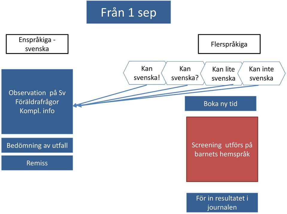 Kan lite svenska Kan inte svenska Observation på Sv