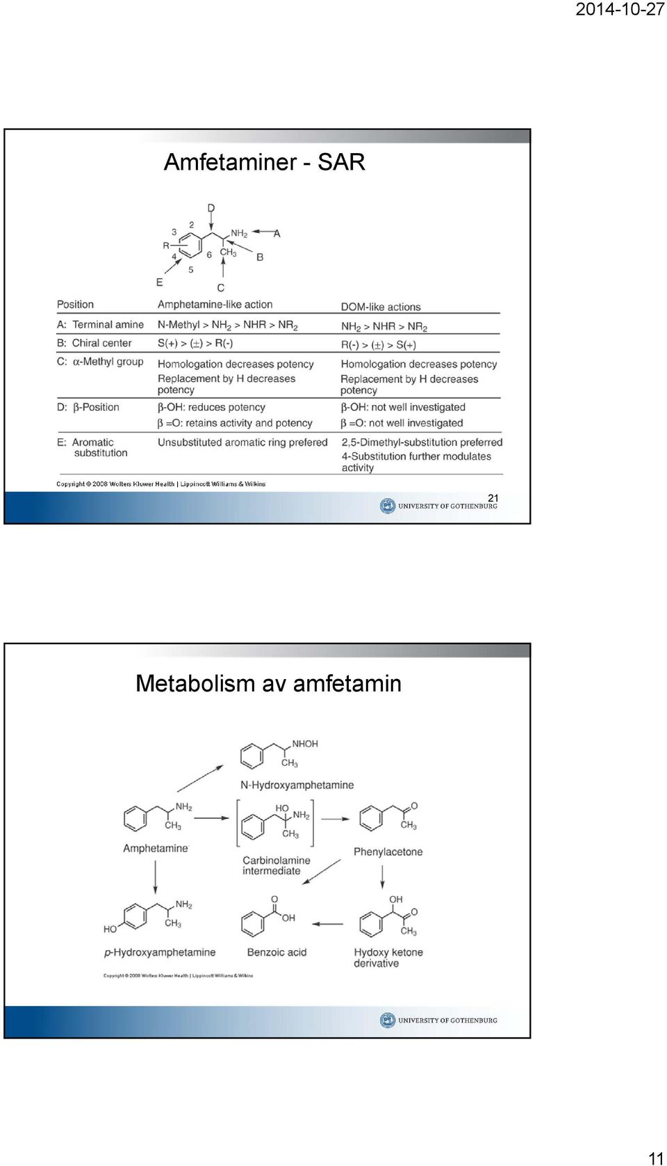 Metabolism