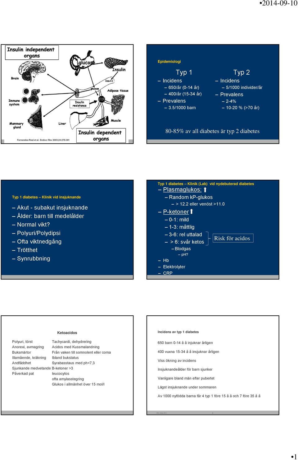 Endocr Rev 2003;24:278-301 Typ 1 diabetes Klinik vid insjuknande Akut - subakut insjuknande Ålder: barn till medelålder Normal vikt?