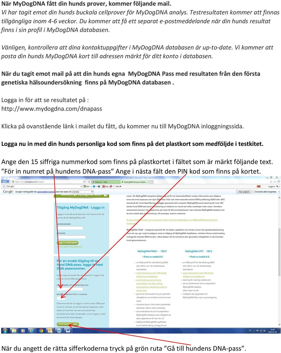 Vi kommer att posta din hunds MyDogDNA kort till adressen märkt för ditt konto i databasen.