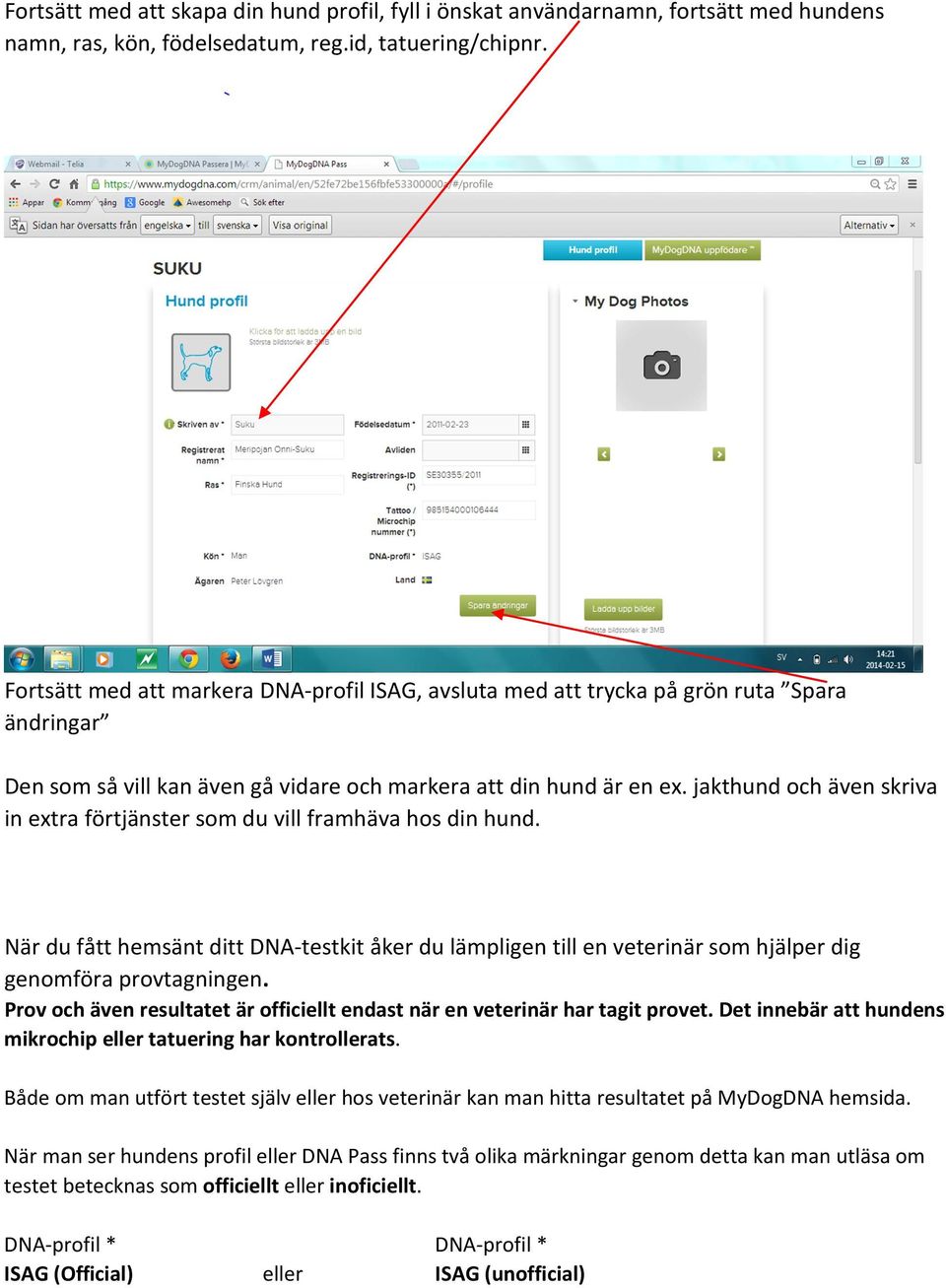 jakthund och även skriva in extra förtjänster som du vill framhäva hos din hund. När du fått hemsänt ditt DNA-testkit åker du lämpligen till en veterinär som hjälper dig genomföra provtagningen.