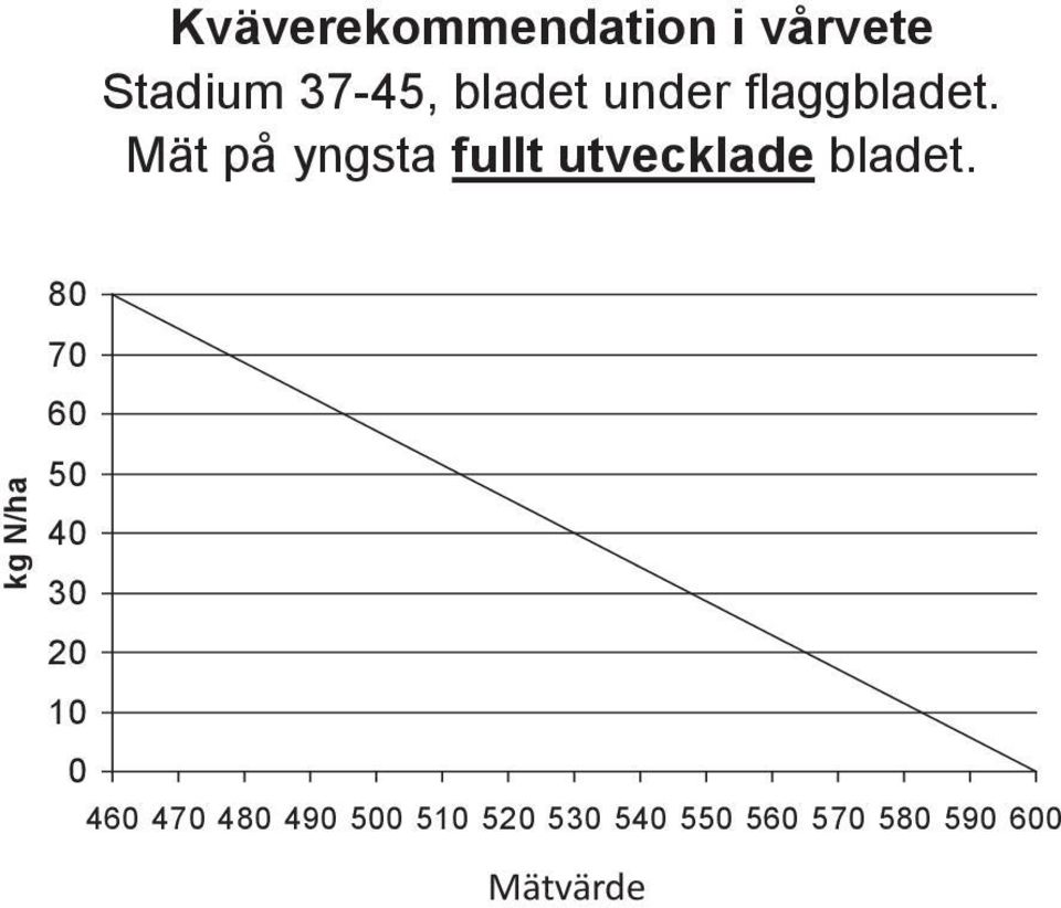 Mät på yngsta fullt utvecklade bladet.