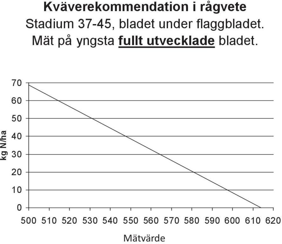 Mät på yngsta fullt utvecklade bladet.