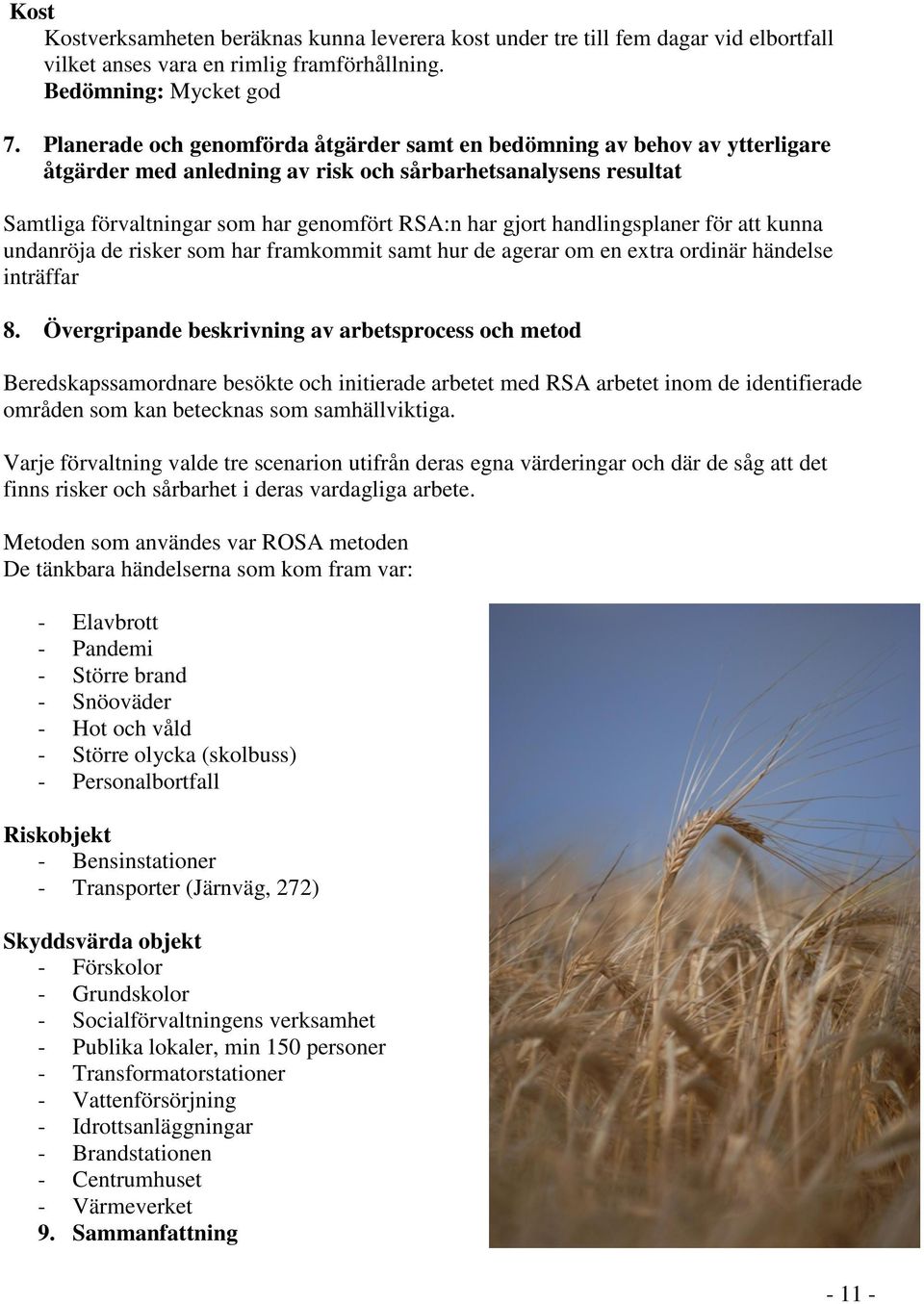 handlingsplaner för att kunna undanröja de risker som har framkommit samt hur de agerar om en extra ordinär händelse inträffar 8.