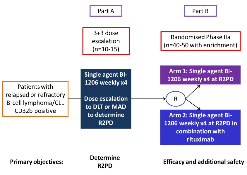 14-BI-1206-1: A SIGNAL SEEKING PHASE I/IIA SAFETY STUDY WITH BI- 1206 AND RITUXIMAB IN PATIENTS WITH CD32B+ B CELL MALIGNANCY A