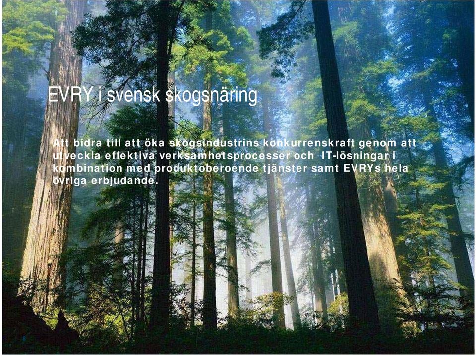effektiva verksamhetsprocesser och IT-lösningar i