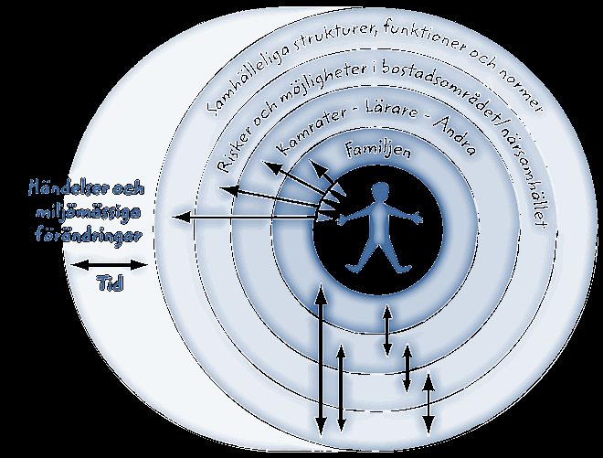 Vilka är risk- och skyddsfaktorerna? (se t.ex.