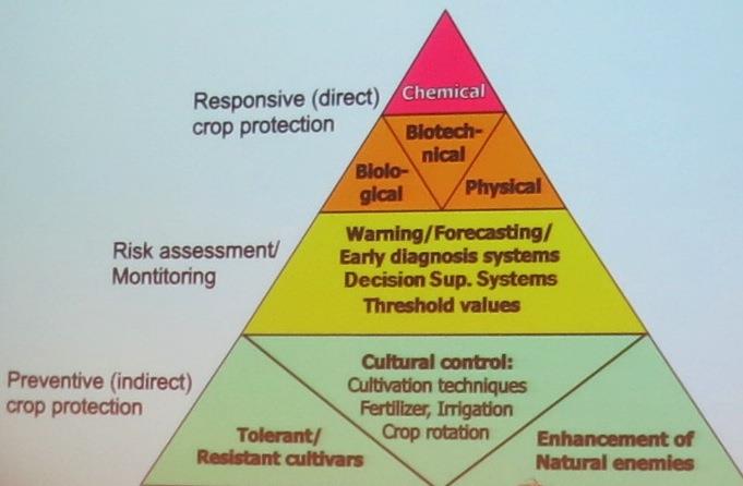 Integrated pest management Inoculative biological control Forecasting models Resistant varieties