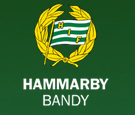 Hammarby IF Tröjnummer Gröna Vita Förnamn Efternamn Född 1 (MV) 1 (MV) Matteo Tuveson 2002 2 2 Oscar Persson 2002 3 3 Ilya Voronin Lundborg 2002 4 4 André Rexholt 2002 5 (ute) 5 (ute) Emil Jonsson