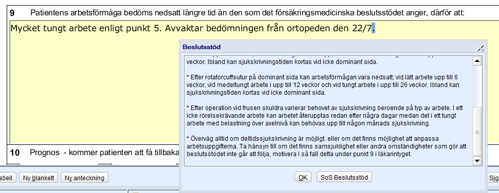 Dubbelklicka i fält 9 Beslutstöd och du får