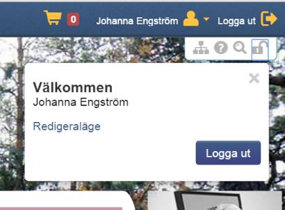 Istället för ID numret kan du använda ditt personnummer XXXXXX-XXXX. Klicka på logga in när du fyllt i användarnamn och lösenord.