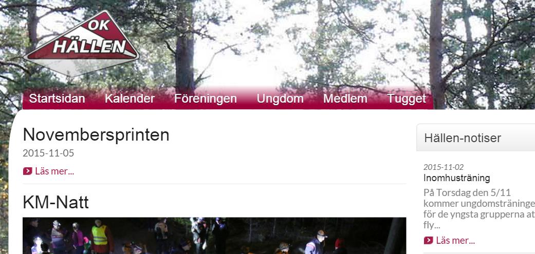 Din artikel ser ut ungefär såhär när man tittar på den. Och så här på förstasidan. Jag valde ingen ingress och ingen toppbild.
