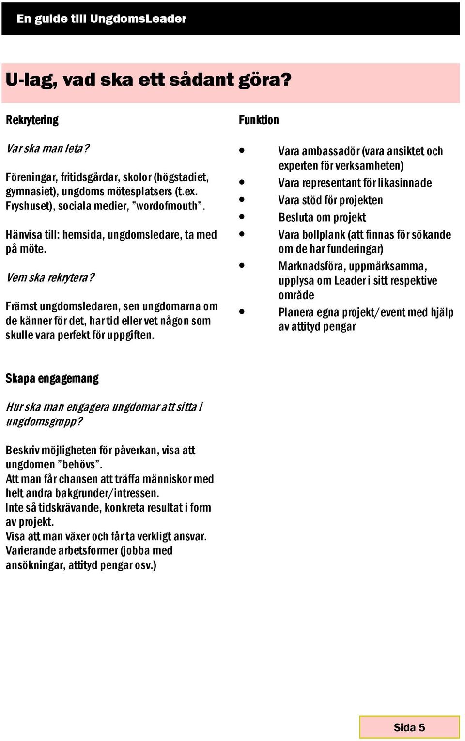 Funktion Vara ambassadör (vara ansiktet och experten för verksamheten) Vara representant för likasinnade Vara stöd för projekten Besluta om projekt Vara bollplank (att finnas för sökande om de har