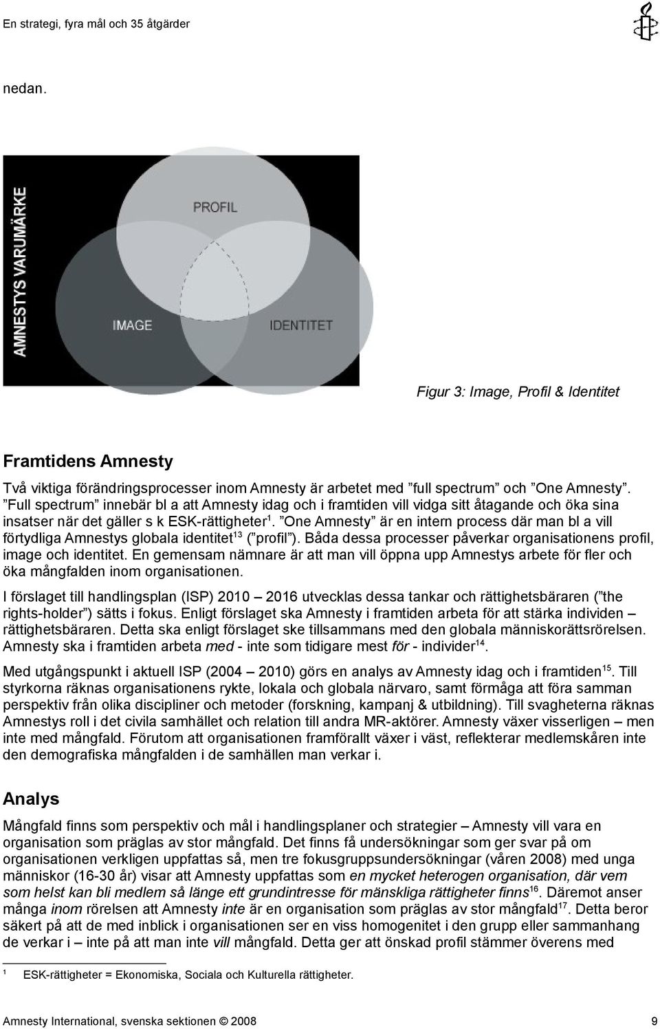 One Amnesty är en intern process där man bl a vill förtydliga Amnestys globala identitet 13 ( profil ). Båda dessa processer påverkar organisationens profil, image och identitet.