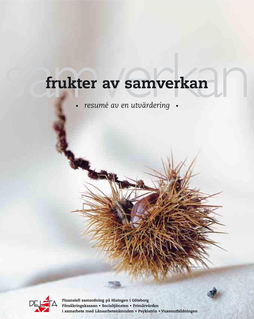 Försäkringskassan Socialtjänsten Primärvården i