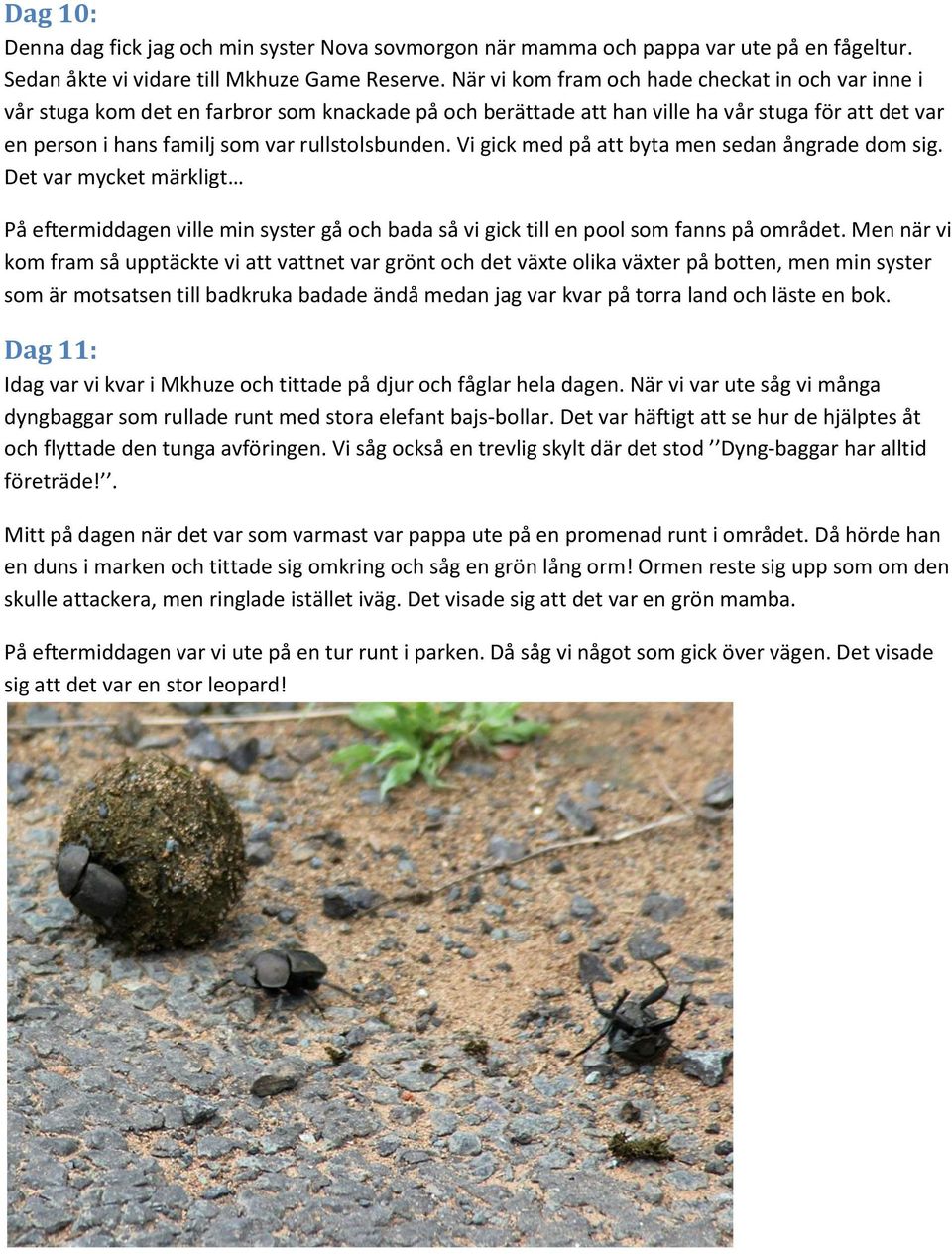 rullstolsbunden. Vi gick med på att byta men sedan ångrade dom sig. Det var mycket märkligt På eftermiddagen ville min syster gå och bada så vi gick till en pool som fanns på området.