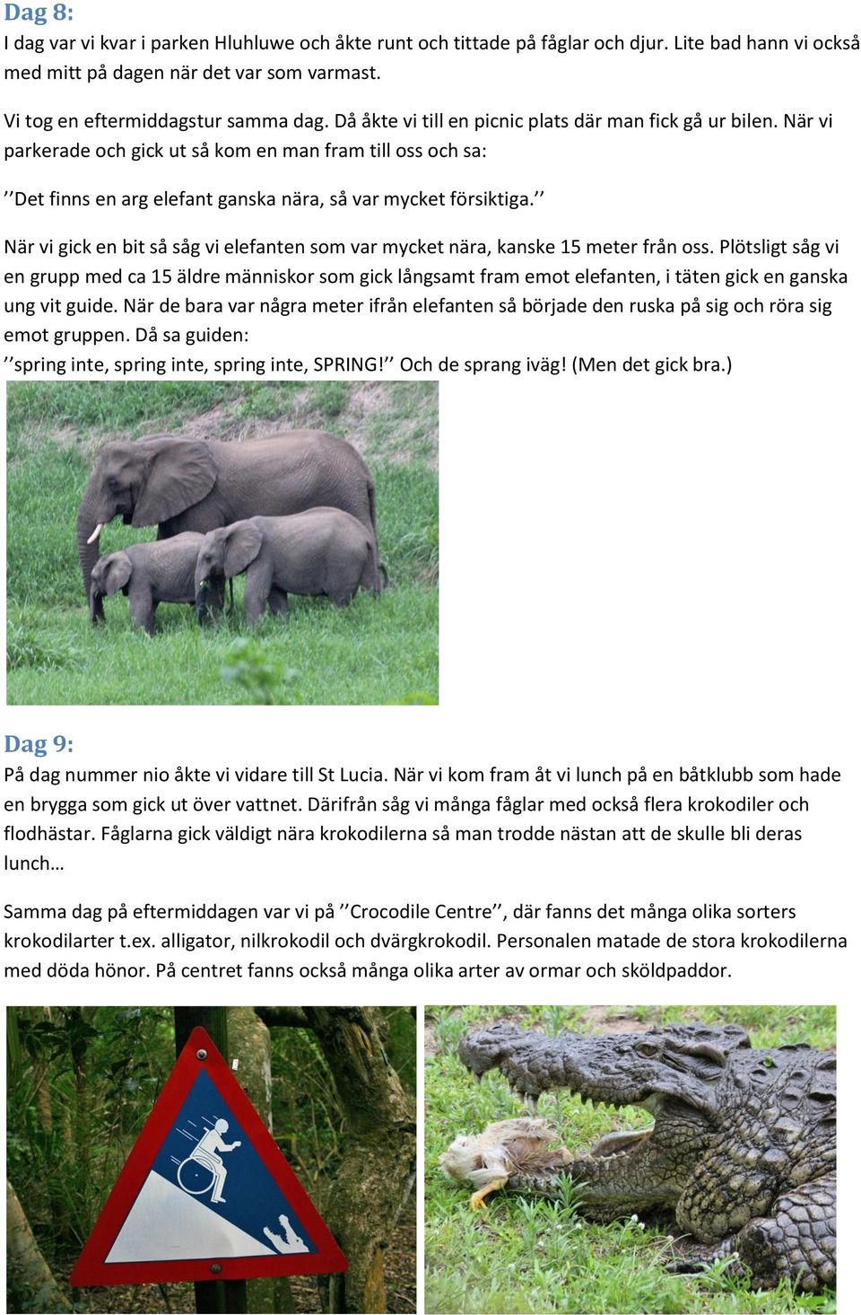 När vi gick en bit så såg vi elefanten som var mycket nära, kanske 15 meter från oss.