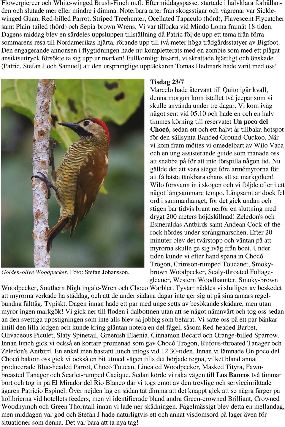 Wrens. Vi var tillbaka vid Mindo Loma framåt 18-tiden.