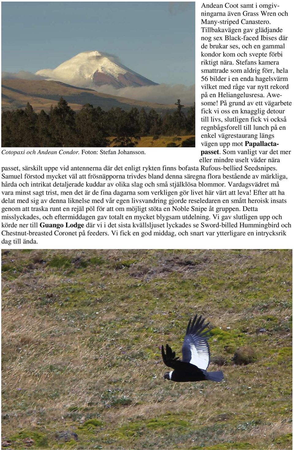 Stefans kamera smattrade som aldrig förr, hela 56 bilder i en enda hagelsvärm vilket med råge var nytt rekord på en Heliangelusresa. Awesome!