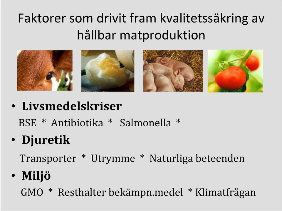 Salmonella * Djuretik Transporter * Utrymme * Naturliga