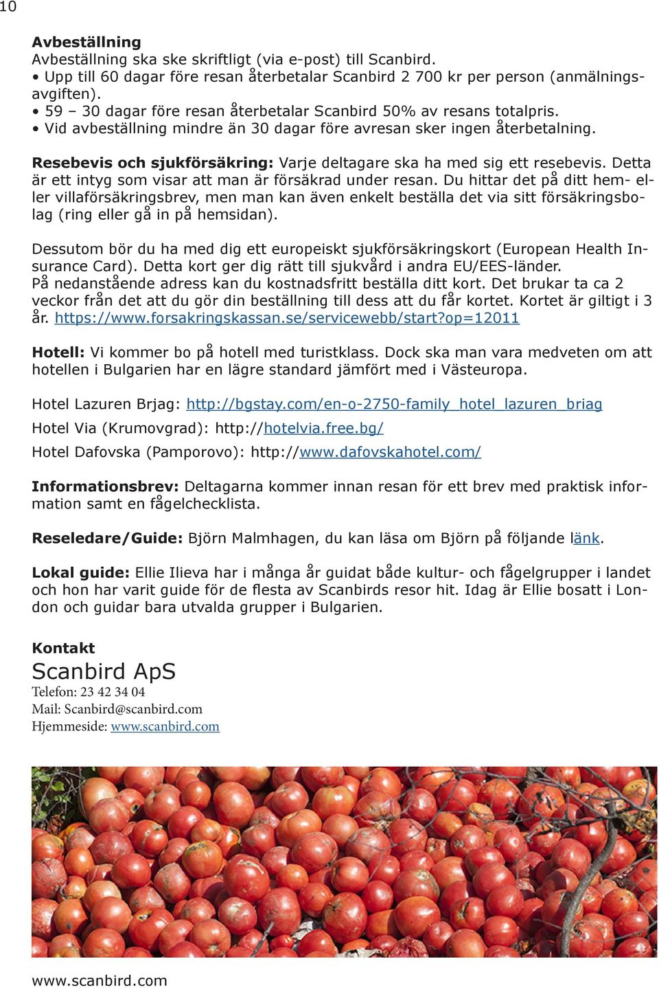 Resebevis och sjukförsäkring: Varje deltagare ska ha med sig ett resebevis. Detta är ett intyg som visar att man är försäkrad under resan.