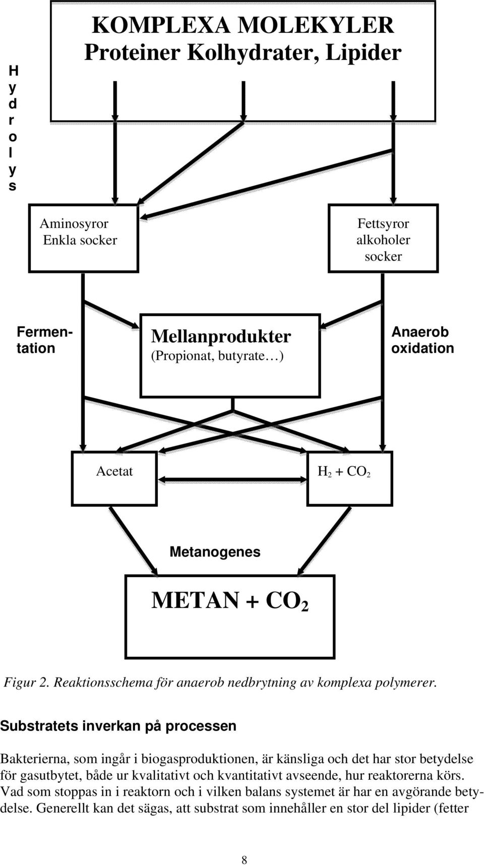 Substratets inverkan på processen Bakterierna, som ingår i biogasproduktionen, är känsliga och det har stor betydelse för gasutbytet, både ur kvalitativt och