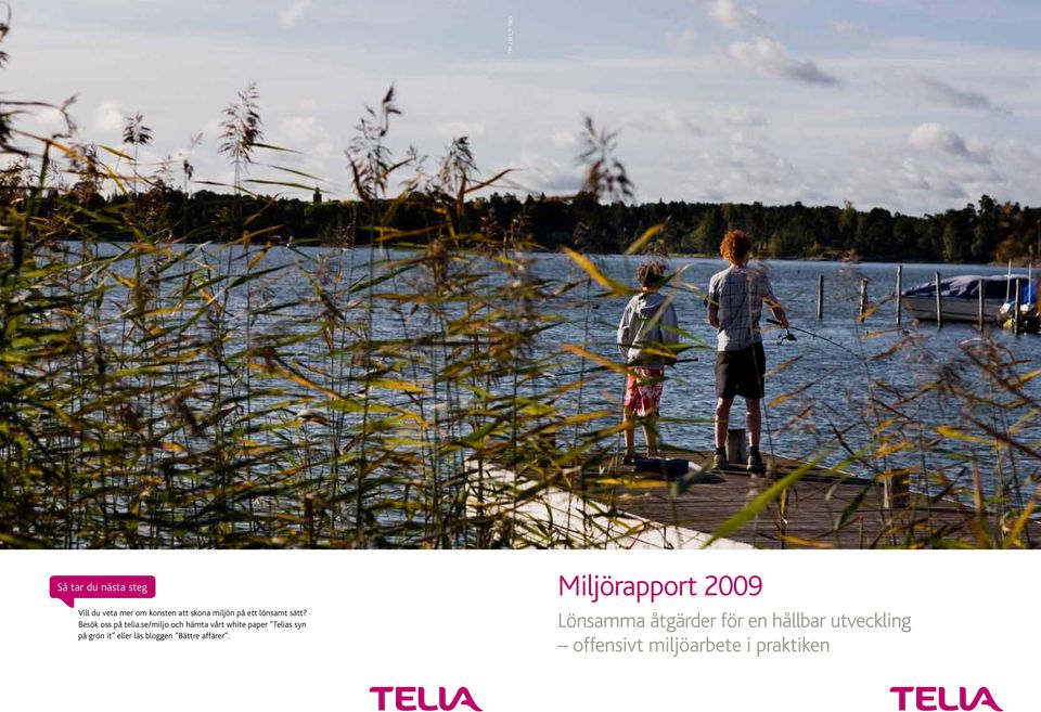 se/miljo och hämta vårt white paper Telias syn på grön it eller läs bloggen