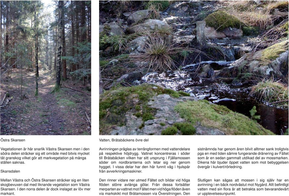 Vatten, Bråtabäckens övre del Avrinningen präglas av terrängformen med vattendelare på respektive höjdrygg.