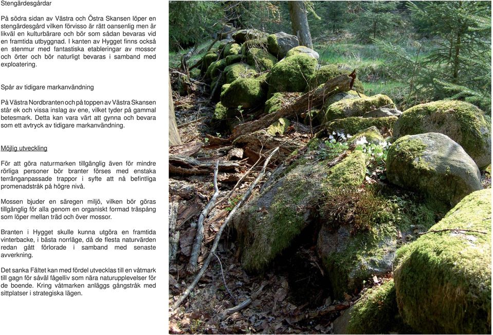 Spår av tidigare markanvändning På Västra Nordbranten och på toppen av Västra Skansen står ek och vissa inslag av ene, vilket tyder på gammal betesmark.