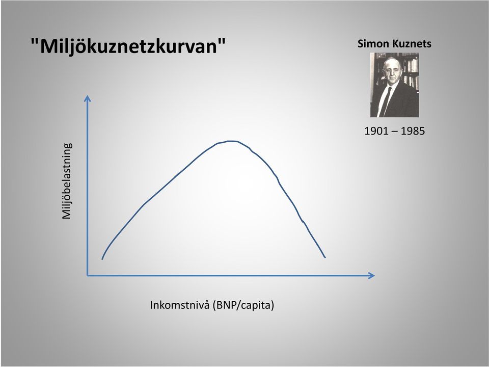 1985 Miljöbelastning