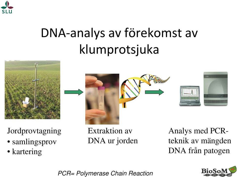 Extraktion av DNA ur jorden Analys med