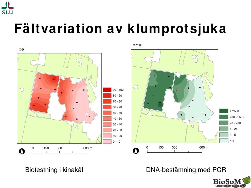 Biotestning i