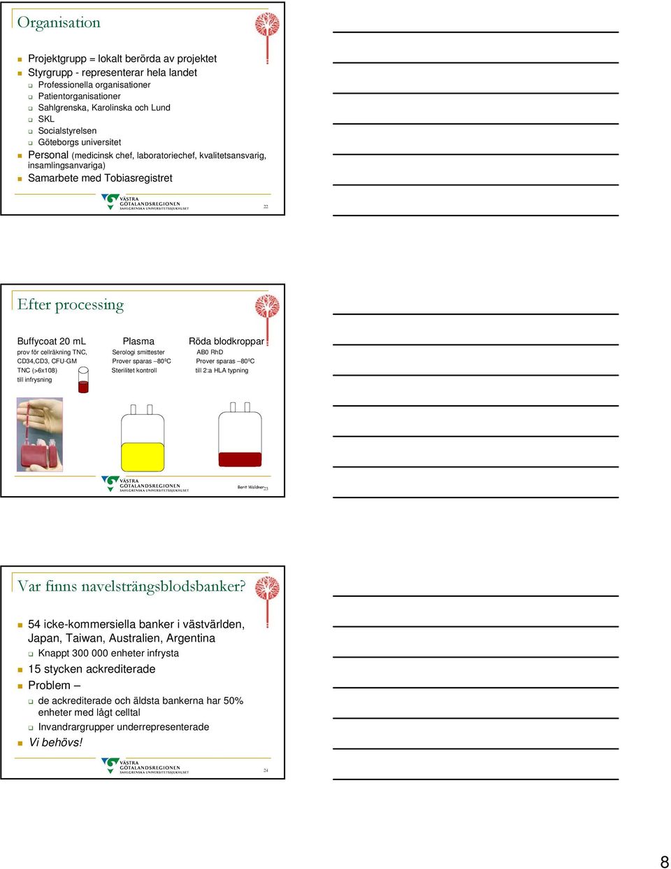 för cellräkning TNC, Serologi smittester AB0 RhD CD34,CD3, CFU-GM Prover sparas 80ºC Prover sparas 80ºC TNC (>6x108) Sterilitet kontroll till 2:a HLA typning till infrysning Berit Waldner23 Var finns