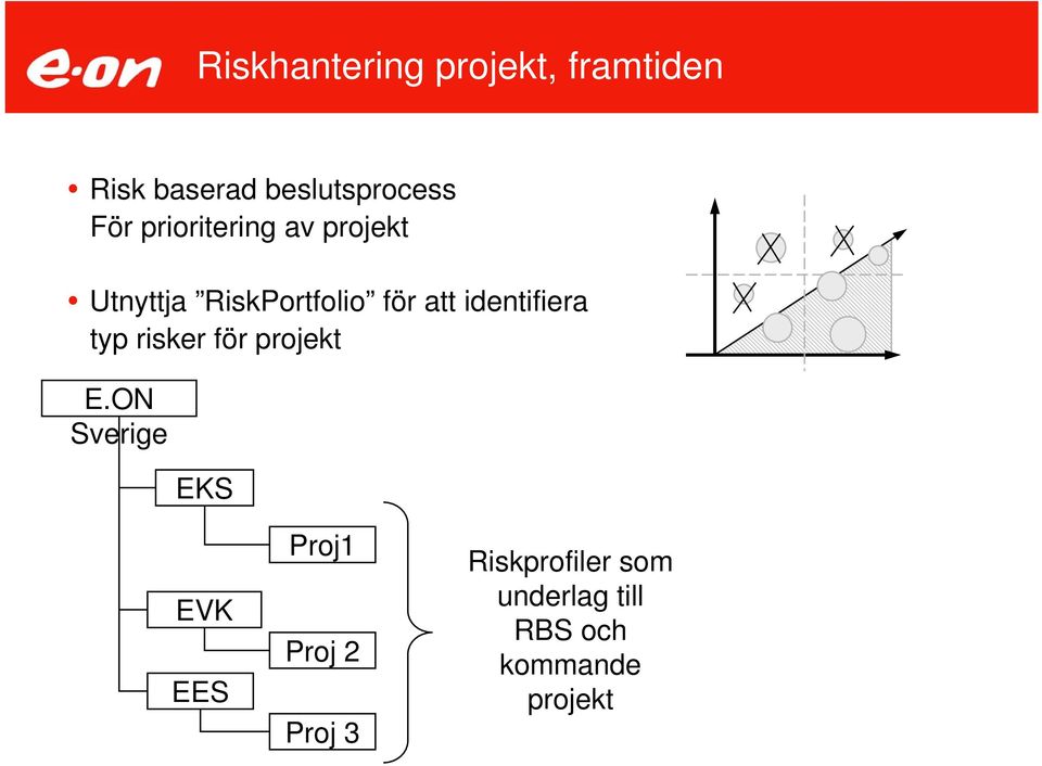 identifiera typ risker för projekt E.