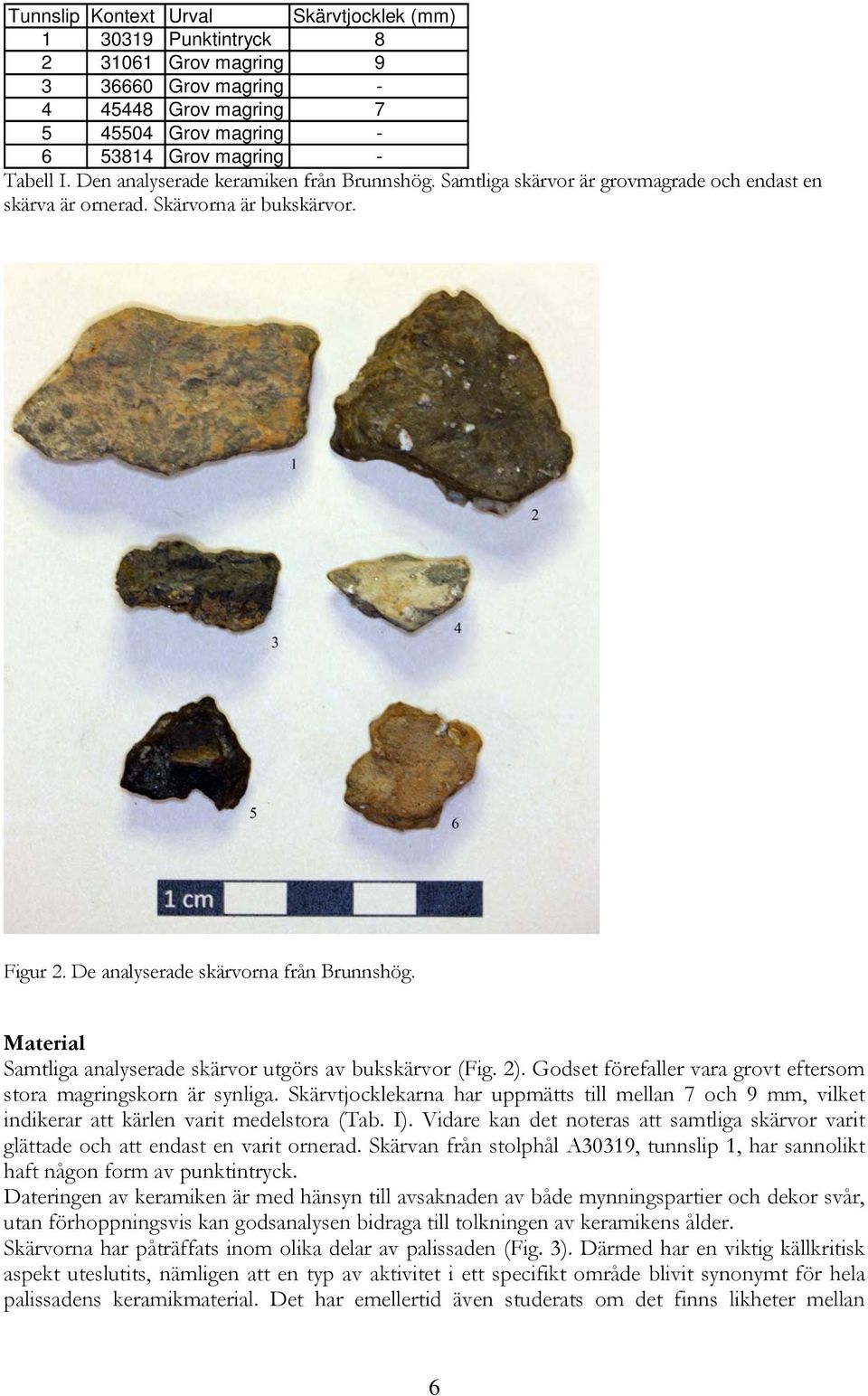 Material Samtliga analyserade skärvor utgörs av bukskärvor (Fig. 2). Godset förefaller vara grovt eftersom stora magringskorn är synliga.