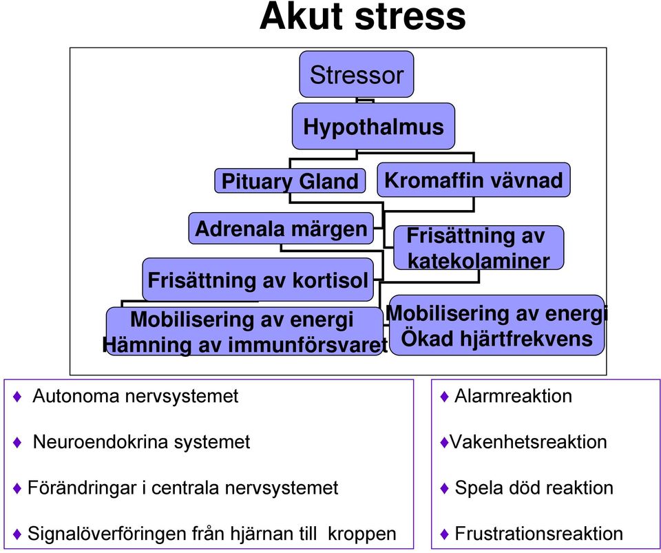 hjärtfrekvens Autonoma nervsystemet Neuroendokrina systemet Förändringar i centrala nervsystemet