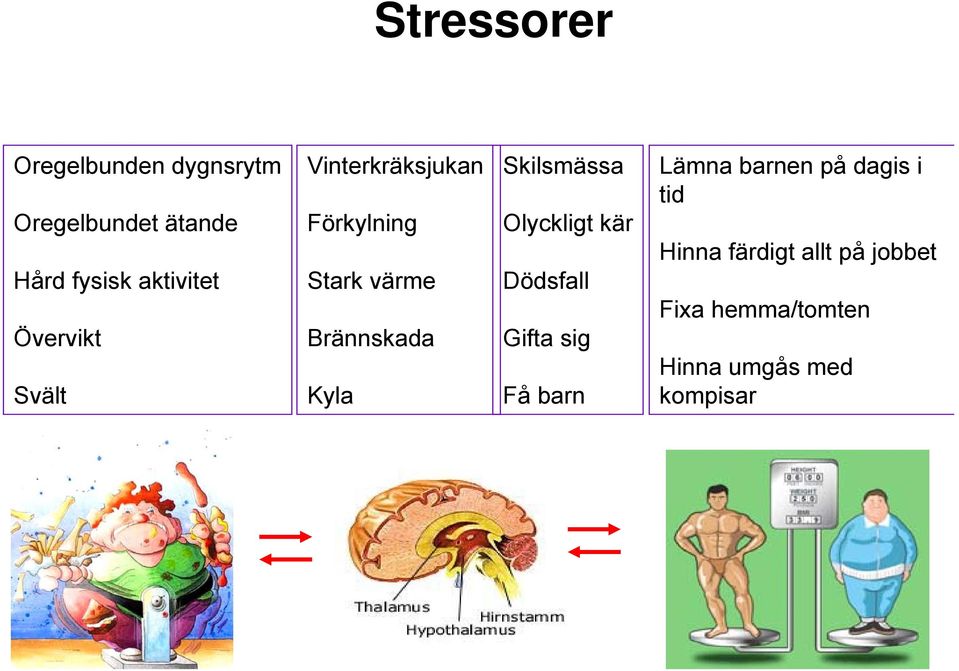 Brännskada Kyla Skilsmässa Olyckligt kär Dödsfall Gifta sig Få barn Lämna