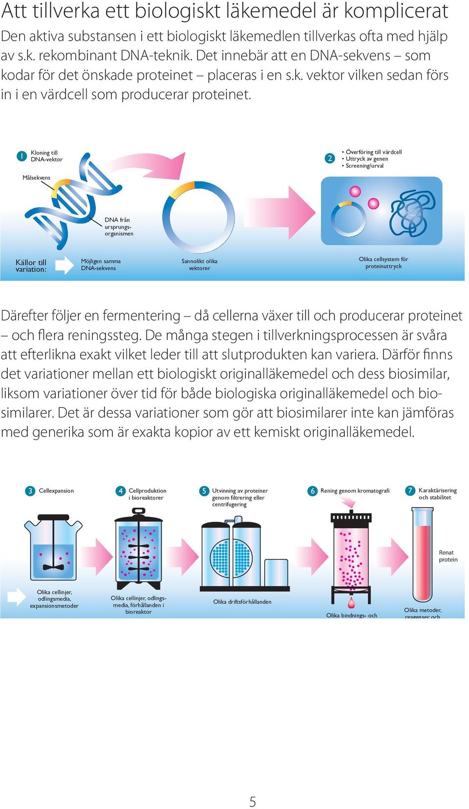 Kloning till 1 DNA-vektor 2 Målsekvens Överföring till värdcell Uttryck av genen Screening/urval DNA från ursprungsorganismen Källor till variation: Möjligen samma DNA-sekvens Sannolikt olika