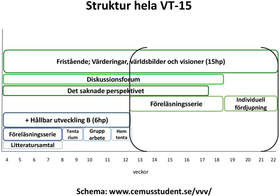 saknade perspektivet Grupp arbete Hem tenta Föreläsningsserie Individuell fördjupning 4