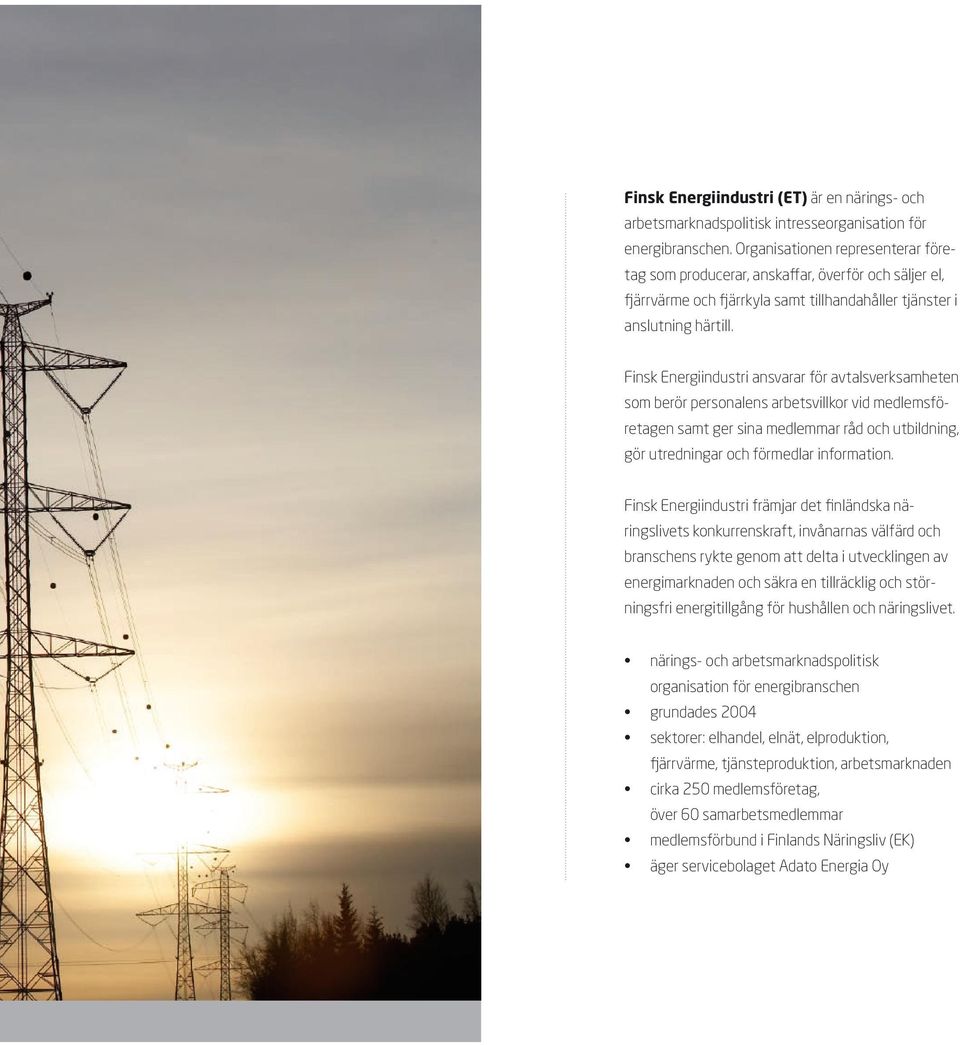 Finsk Energiindustri ansvarar för avtalsverksamheten som berör personalens arbetsvillkor vid medlemsföretagen samt ger sina medlemmar råd och utbildning, gör utredningar och förmedlar information.